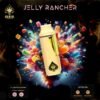 ACE JELLY RANCHER Picture